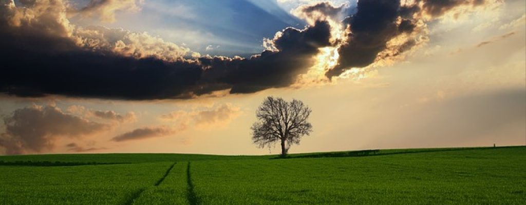 countryside-2175353_640